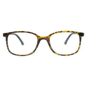 Plastic Reading Glasses